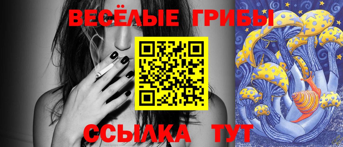 Псилоцибиновые грибы мицелий Кумертау